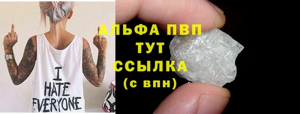 сатива Елабуга
