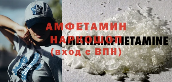сатива Елабуга