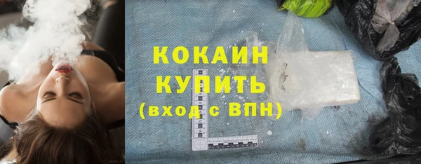 сатива Елабуга