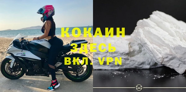 дживик Елизово
