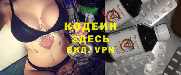 сатива Елабуга