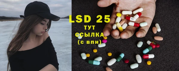 сатива Елабуга