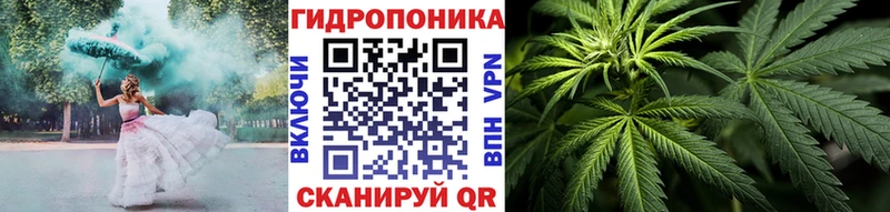 наркота Зубцов МАРИХУАНА индика